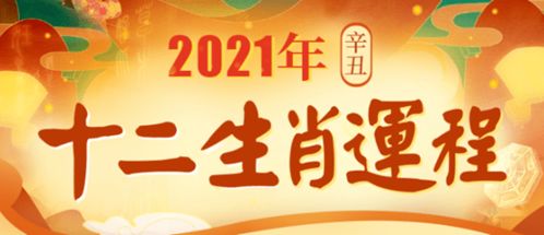 一夜暴富（62集），新时代的财富奇迹