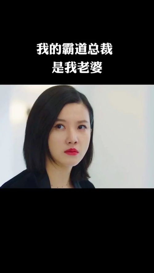 我的媳妇是总裁