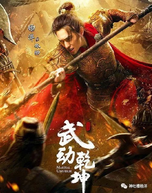 最强武婿，英雄之路的荣耀与辉煌