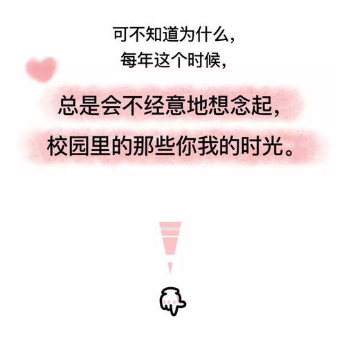 我知道你是谁（84集），探寻真实与认知的交织之旅
