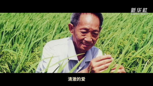 拳拳赤子心（62集）
