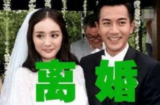 离婚后，前夫日日求复合（87集）