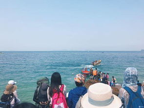 游过爱情的海