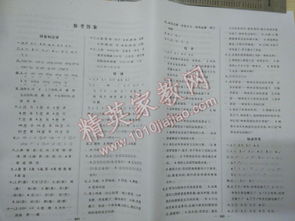 新版望子成龙，深度解读与启示