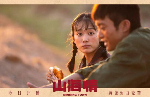 哑母山海情——深度解读一部感人至深的43集电视剧