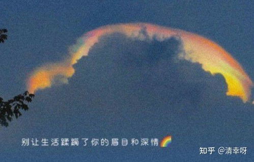 人间皆是浪漫——一部生活的赞歌（86集）