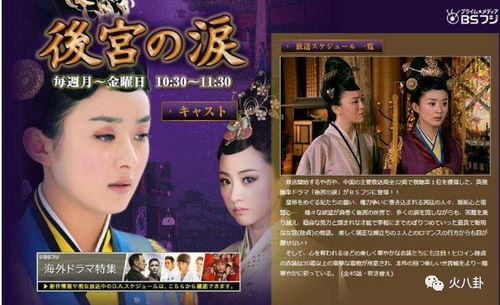 金凤凰，邹漪琳的传奇人生（80集电视剧深度解析）