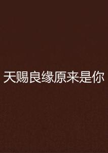你是我的天赐良缘（52集）