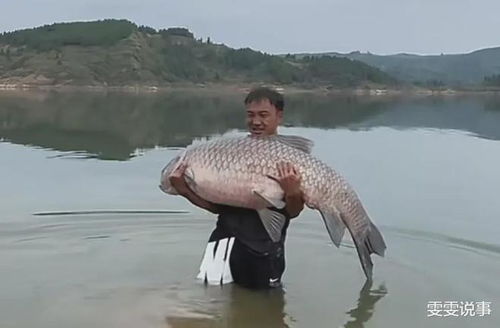 男子钓获百斤大鱼，费力抱起后毅然决定放生