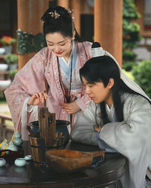 玉石之无价赘婿