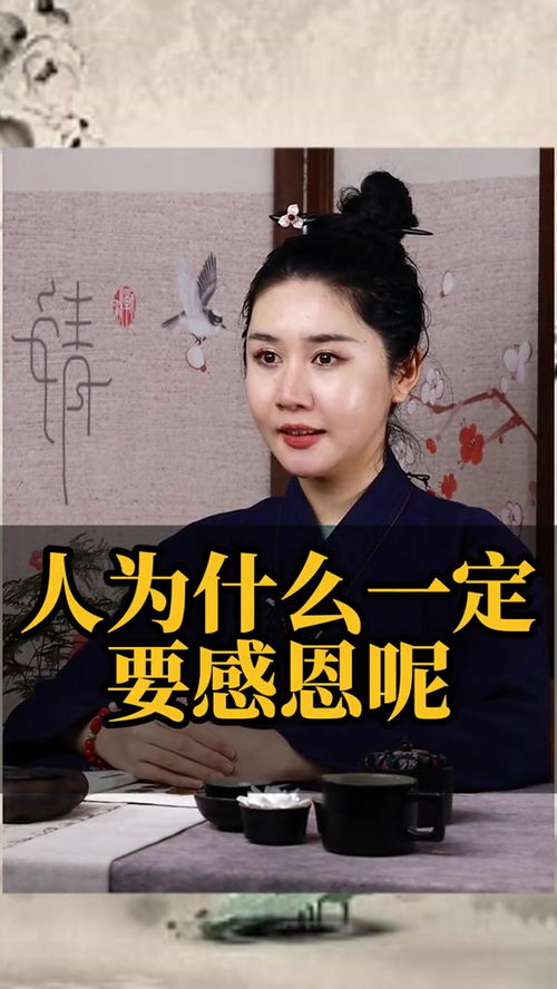 上世情仇这世报，因果轮回中的情感纠葛与人生领悟
