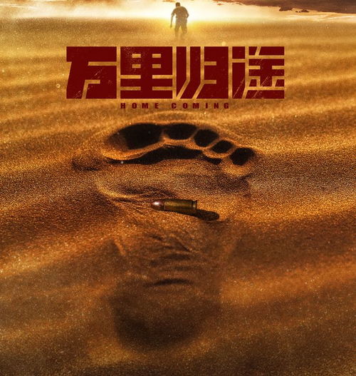 万里归途，漫漫归途的70集心路历程