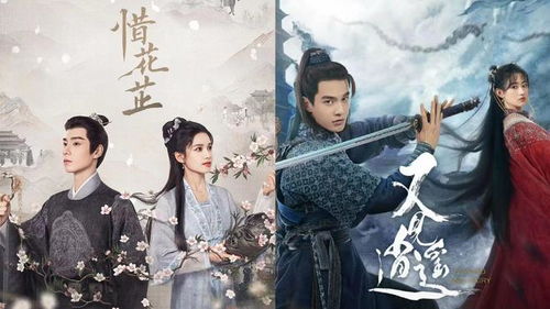 逍遥赘婿，古代智慧与现代的交融