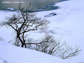 千山慕雪，雪域深情与千年之恋（80集）