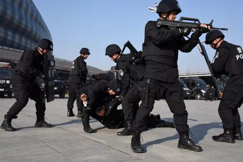 特警带球形机器人巡逻引围观，科技与人性的完美结合
