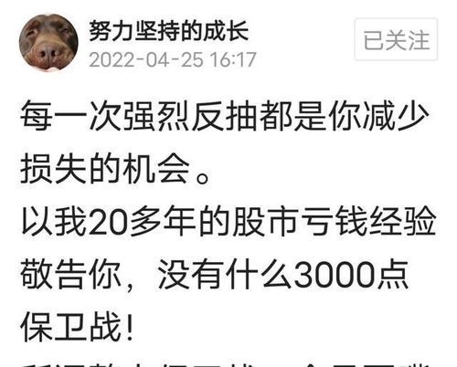 老板，我不想努力了（96集深度解析）