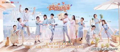 团宠妈咪是真千金（89集）剧情深度解析与感悟