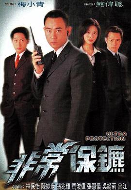 爱上我的男保镖（80集连续剧剧情概述）