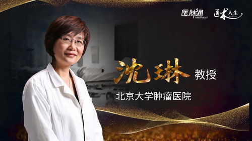 杀猪医圣，传奇的医术与人生智慧（第79集深度解析）