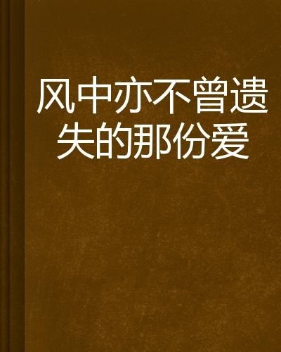 风替我说爱你（45集）