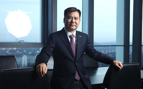 农民家的总裁儿子，奋斗与荣耀的交织