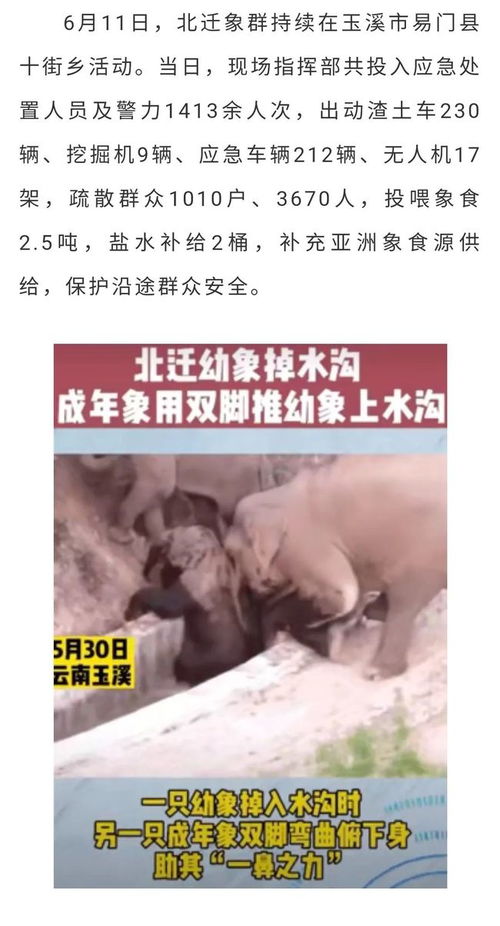 般配关系（79集）张集骏，深度解析人与事的和谐共鸣