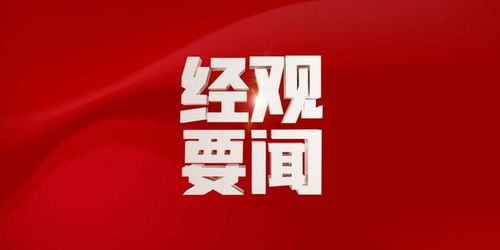 媒体观察，中国出口限制触动西方企业痛点