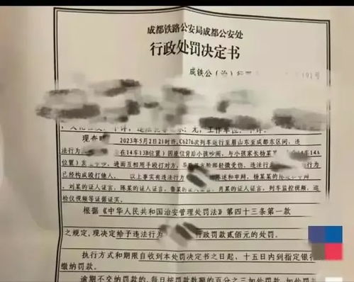 火车站掌掴工作人员女子确诊精神病事件深度解析