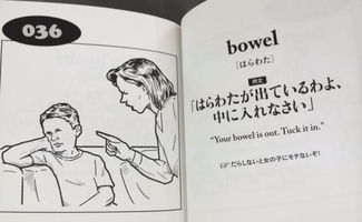 我三个狼心狗肺的东西（80集）