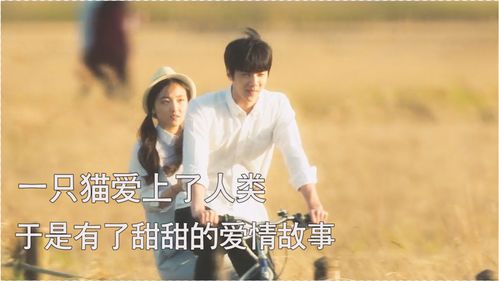 我的猫系男友（共24集）——王格格与张集骏的奇妙爱情故事