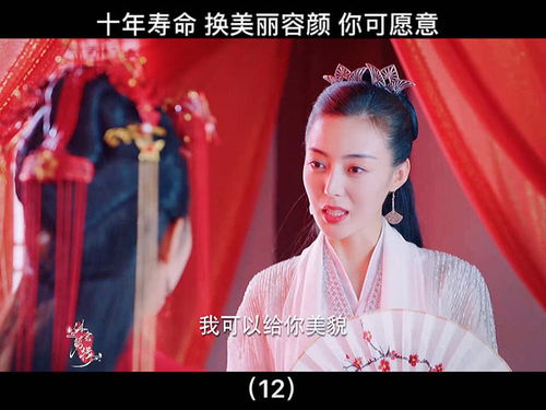 容颜换命（61集）