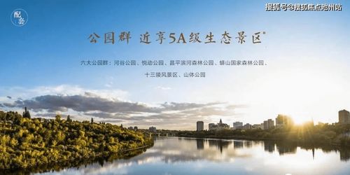 直上青云（95集），追梦的旅程与挑战