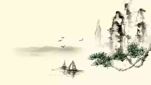 我携清风揽明月（46集）