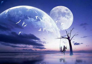夜色倾心，一个神秘而充满魅力的夜晚故事（1210）