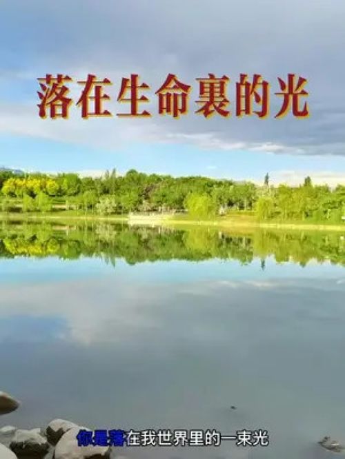 落在生命里的光（100集）