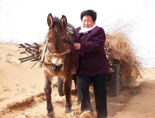 小米SU7，揭秘指牛为人背后的故事