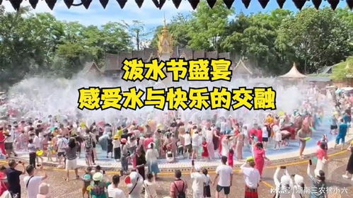 市民自发前往琼瑶祖居献鲜花，文化传承与情感寄托的交融