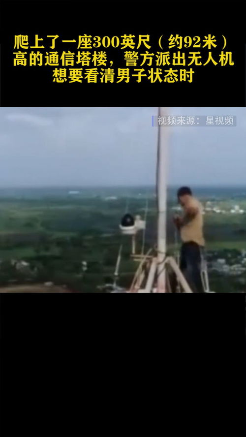 蔡国强，无人机不要带回家