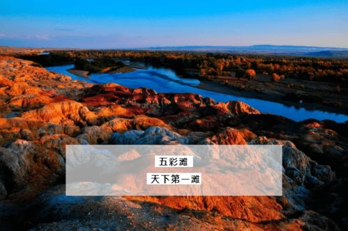 小神农，探寻神奇大自然的足迹