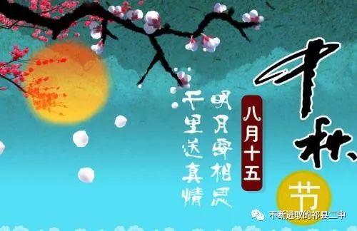 亲亲我的白月光（89集）张星禾，一段深情与成长的旅程