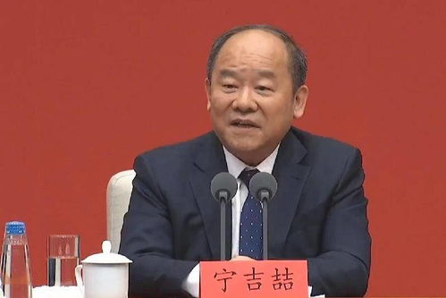广东省副省长张新被免职，探究背后的原因与未来展望