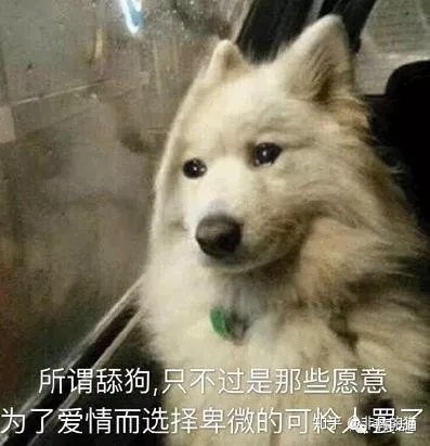 怪我情有独钟，出狱后的逆袭与舔狗前夫的蜕变（共100集）