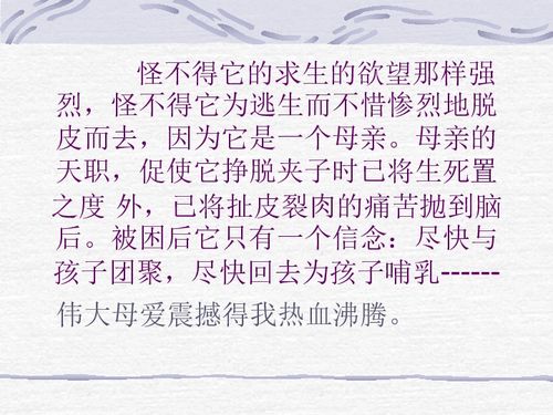 为母则刚（79集）深度解读，母爱的力量与女性的坚韧