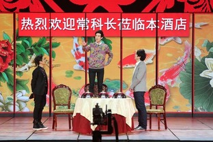 龙年之同学会风云（94集）