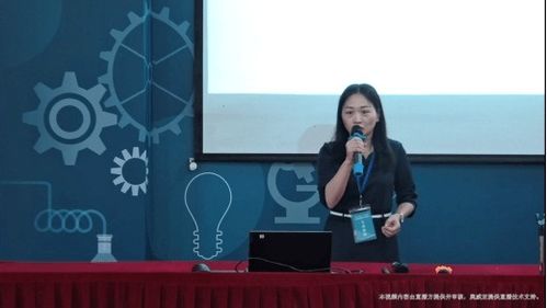 登天（80集），丁晓的奋斗与成长