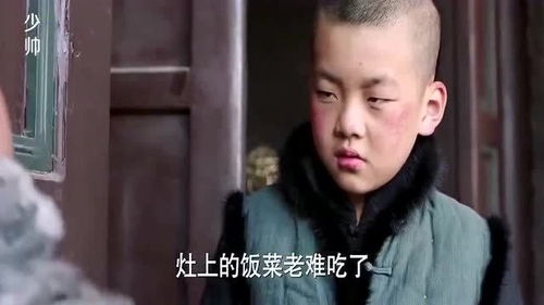 疯批少帅又把小妈沉塘了