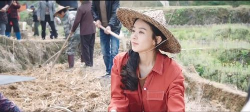 回村的诱惑，乡村生活的魅力与变迁（第94集）