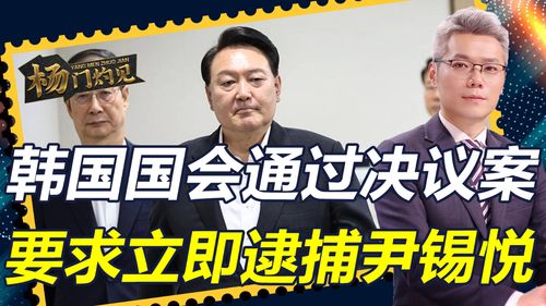 决议案通过，逮捕总统尹锡悦——政治风波的深度剖析