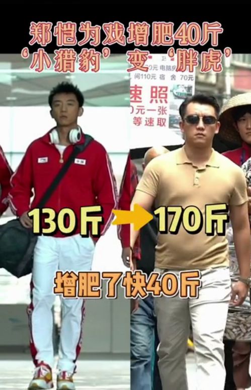 重回巅峰，韩雨轩的奋斗之路（共86集）