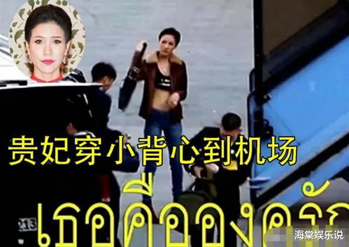 陆夫人马甲掉一地，揭秘一部充满惊喜与波折的82集连续剧